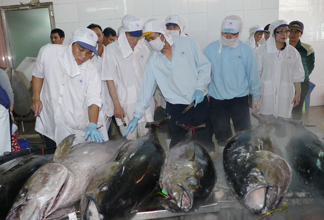 Việt Nam có nhiều cơ hội đẩy mạnh XK cá ngừ sang Anh