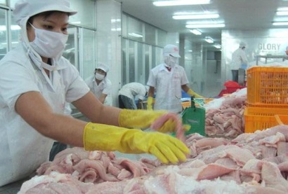 Việt Nam chiếm 18% tổng nhập khẩu cá thịt trắng của Mỹ