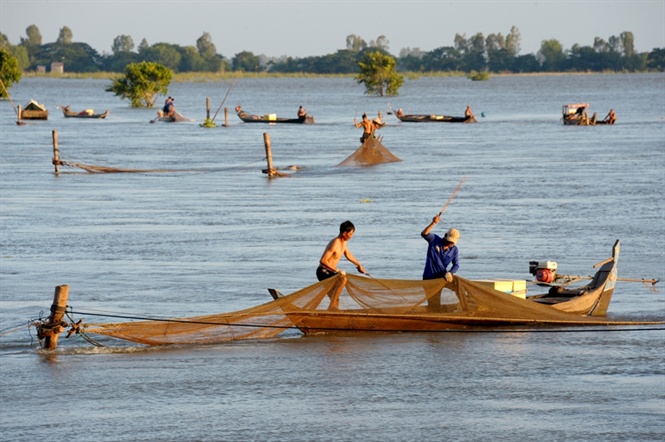 Màu ảm đạm bao trùm lên bức tranh tài chính ngành thủy sản