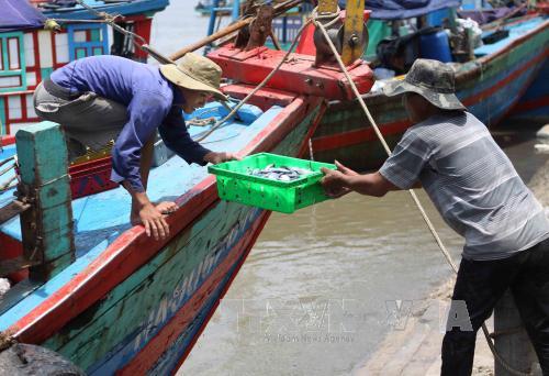 Ngày 26/02/2021, Bộ Nông nghiệp và Phát triển Nông thôn đã ban hành Quyết định 794/QĐ-BNN-TCTS về việc công bố danh sách cảng cá chỉ định có đủ hệ thống xác nhận nguồn gốc thủy sản từ khai thác.