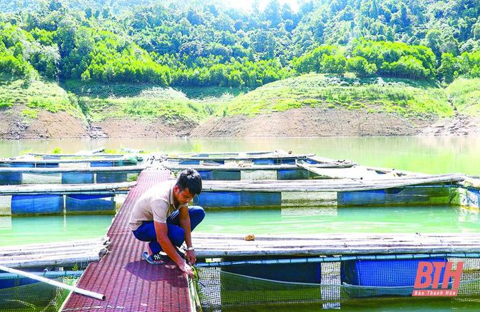 Nhằm khai thác tiềm năng về diện tích nước mặt, những năm qua, người dân trên địa bàn tỉnh, nhất là khu vực ven sông, hồ thủy điện đã phát triển mạnh nghề nuôi cá lồng. 