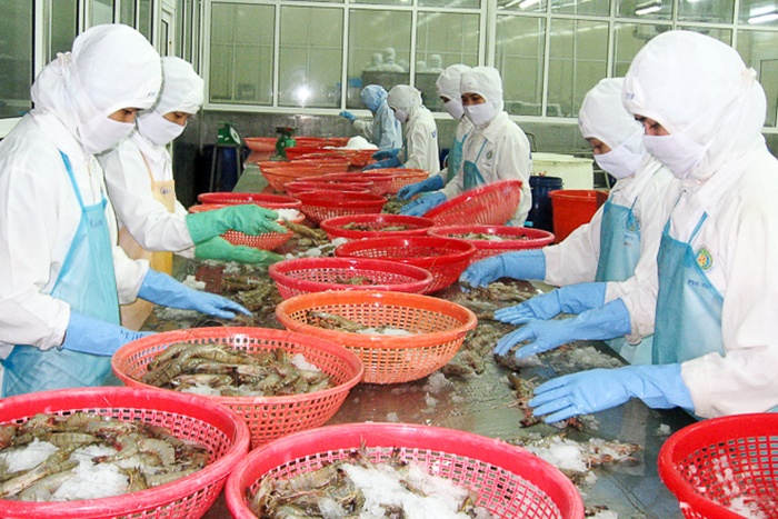 6 tháng đầu năm, xuất khẩu tôm đạt 1,4 tỷ USD, giảm 12% so với cùng kỳ năm 2018.  Nửa đầu năm nay, trong cơ cấu sản phẩm tôm xuất khẩu của Việt Nam, tôm chân trắng chiếm 66,8%, tôm sú chiếm 22,6% , còn lại là tôm biển.