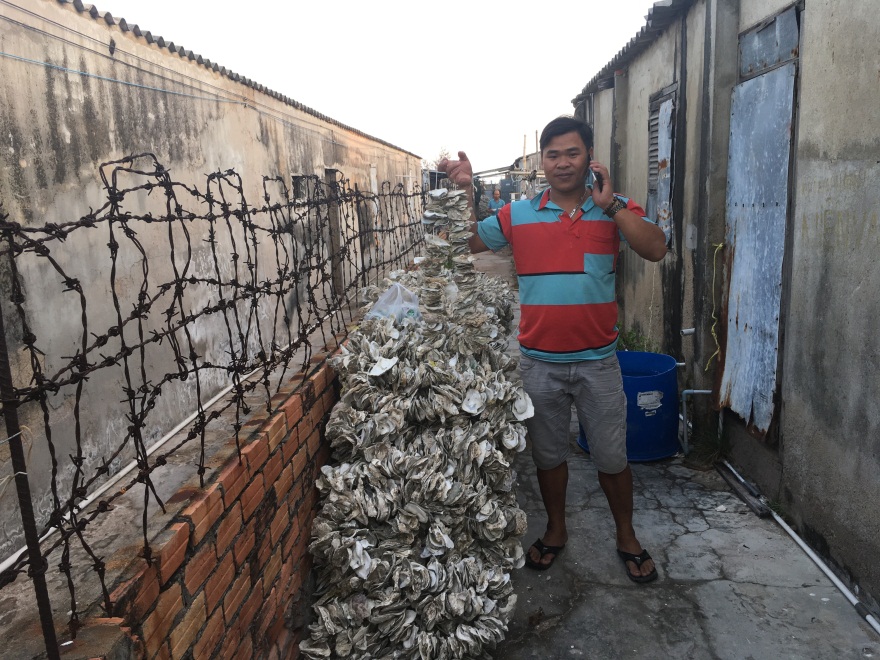 Đó là anh Trần Văn Vỵ, ở số 136, đường Chi Lăng, P. 12, TP Vũng Tàu. Ngoài con giống hàu sữa (hàu Thái Bình Dương), anh còn nghiên cứu sản xuất thành công giống nghêu hai vòi (sò mía).