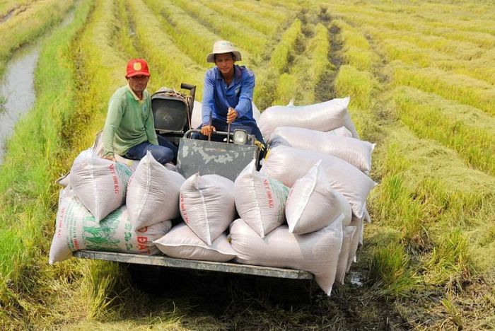 Xuất khẩu gạo tháng 11 lập kỷ lục mới