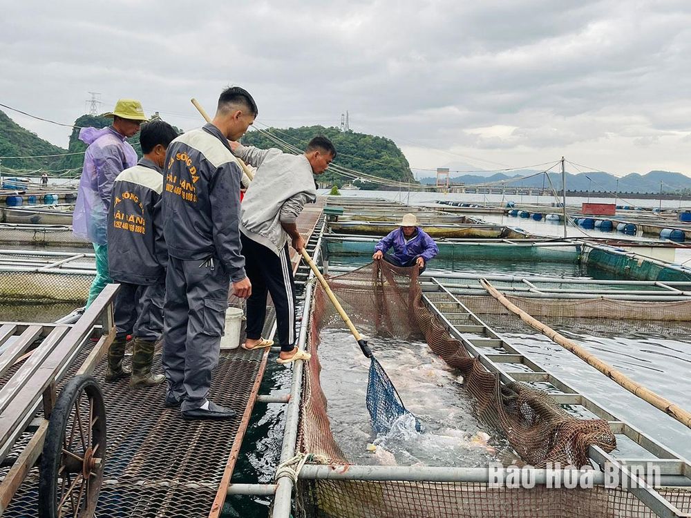 Tăng cường quản lý chất lượng nông, lâm, thủy sản