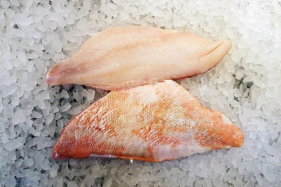 Kiểm soát mùi và vị khó chịu tích tụ trong thịt cá khi nuôi tuần hoàn, giúp tăng chất lượng thịt cá.