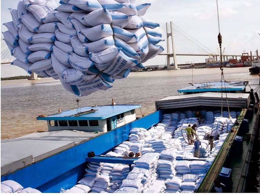 Doanh nghiệp lúa gạo, thủy sản kiến nghị linh hoạt hỗ trợ tín dụng