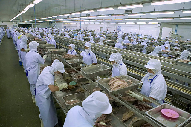 Giá cá ngừ hộp Thái Lan đang được giữ ở mức ổn định nhờ chiến lược đẩy - kéo nhịp nhàng giữa các nhà sản xuất và doanh nghiệp mua hàng.