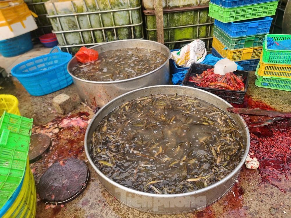 Nghịch lý tiêu chuẩn kép nông sản Việt - kỳ 2: Thủy sản lép vế trên sân nhà