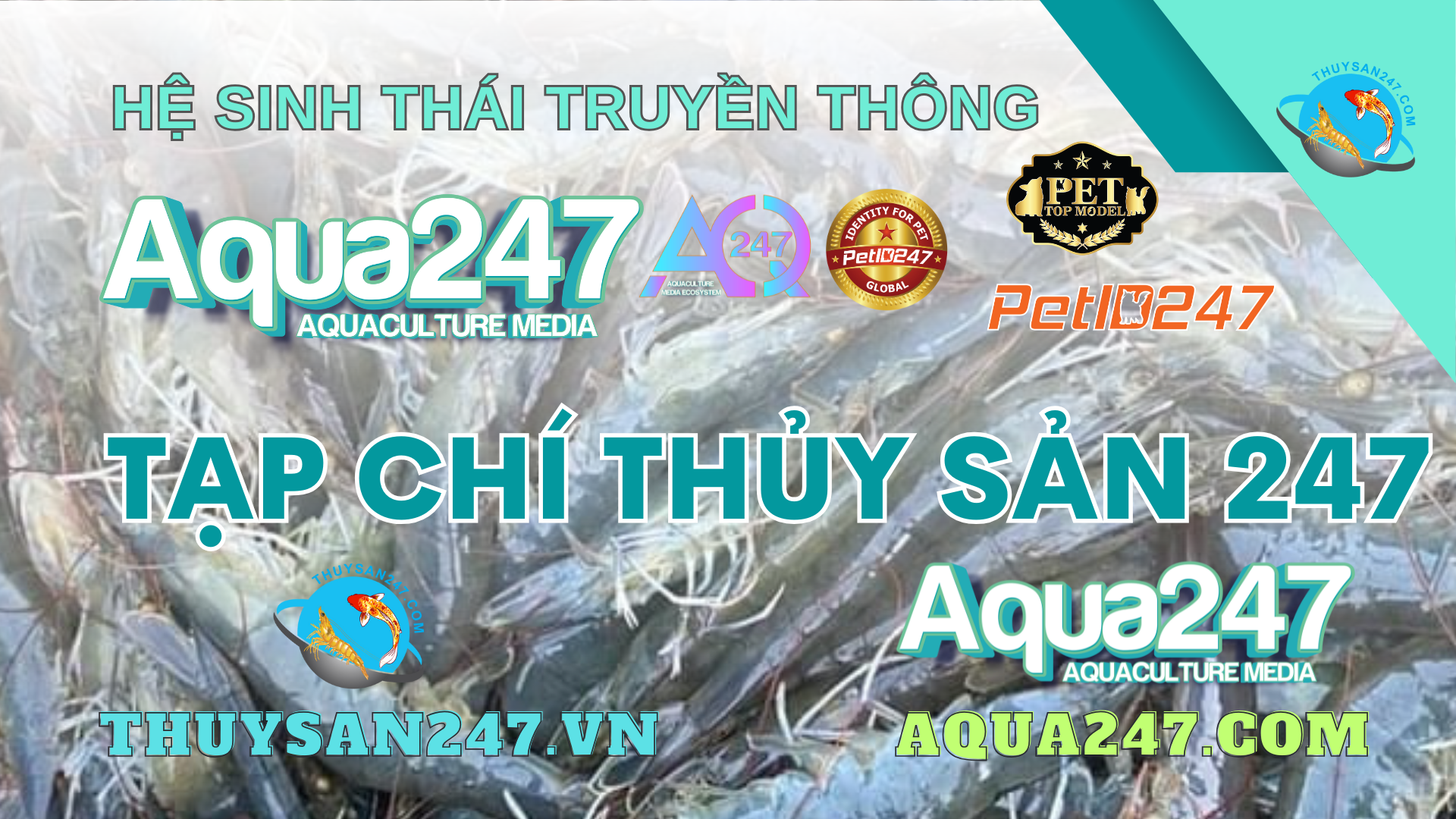 Trong những năm qua, Thủy Sản 247 đã xây dựng và phát triển một hệ sinh thái truyền thông toàn diện, kết nối các thành phần trong ngành thủy sản Việt Nam, từ người nuôi trồng, doanh nghiệp cho đến các chuyên gia. 