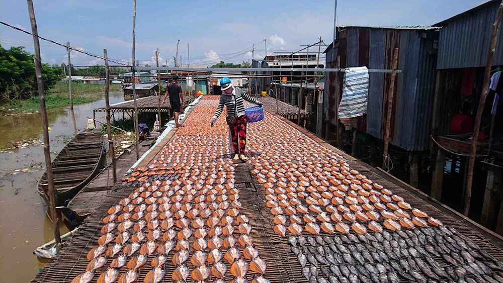 Đó là thực trạng của ngành sản xuất khô cá trên địa bàn An Giang hiện nay. Nguyên nhân của vấn đề trên do người tiêu dùng lúc nào cũng muốn mua sản phẩm với giá rẻ nhưng chất lượng phải cao, ngon, giao hàng nhanh, thanh toán gối đầu;