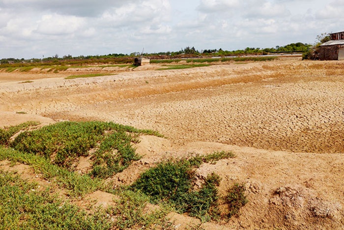 Hàng loạt tuyến kênh thủy lợi bị bồi lắng, khô cạn, nứt nẻ dẫn đến nhiều hộ nuôi tôm ở xã Long Điền, H.Đông Hải (Bạc Liêu) phải “treo ao”, bỏ đất hoang vì không có nước để bơm vào vuông.