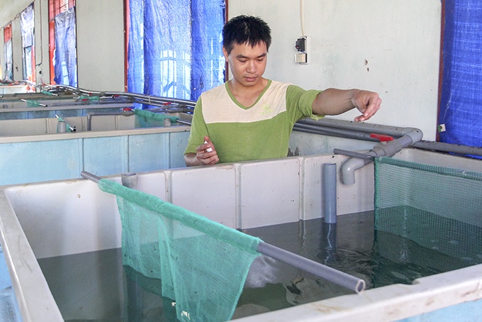 Một nhóm giảng viên bộ môn Kỹ thuật nhiệt lạnh, Khoa Cơ khí, Trường Đại học Nha Trang đã nghiên cứu, thiết kế, chế tạo thành công thiết bị làm lạnh nước biển điều hòa nhiệt độ cho bể nuôi tôm hùm thương phẩm (gọi tắt là thiết bị làm lạnh).