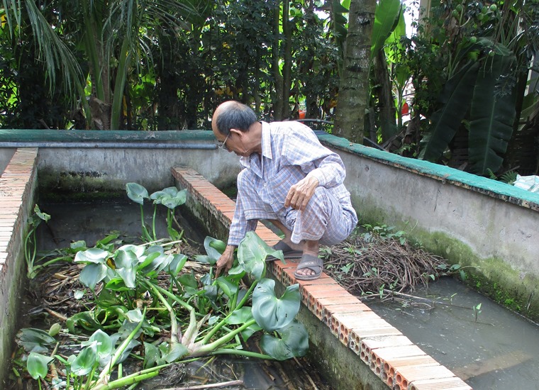 Những năm gần đây, nhiều nông dân ở huyện Tam Nông, tỉnh Đồng Tháp đã tận dụng diện tích đất trống cạnh nhà, xây bể xi măng để nuôi lươn. Hiện toàn huyện có hàng trăm hộ đang nuôi lươn trong hơn 300 bể xi măng và bồn lót bạt…; tập trung nhiều tại các xã An Long, Phú Thọ, Phú Thành A và Phú Thành B. Trung bình, mỗi đợt nuôi từ 6 - 8 tháng, nông dân xuất bán hàng chục tấn lươn thương phẩm, thu lãi từ vài chục triệu đến hàng trăm triệu đồng.