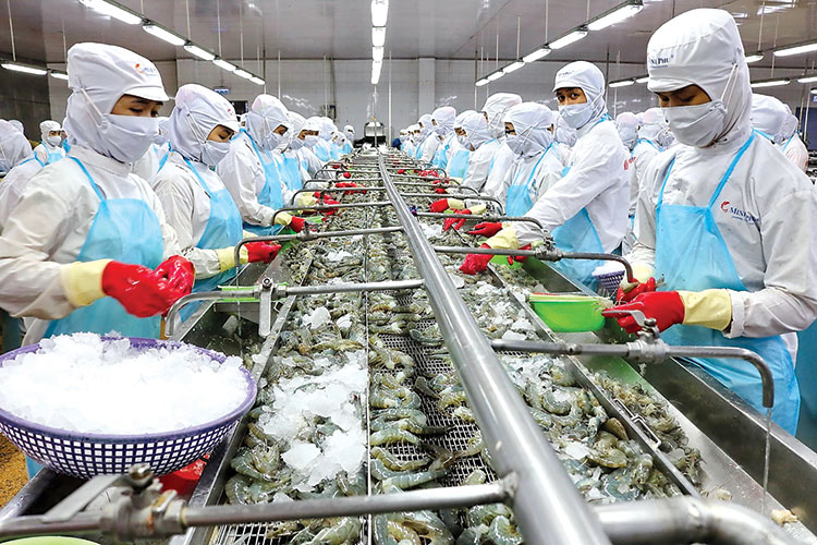Tập đoàn Thủy sản Minh Phú đặt mục tiêu duy trì sản xuất từ nay đến hết năm 2021 đạt trên 70% kế hoạch, để thực hiện đã áp dụng các biện pháp an toàn phòng, chống dịch và sản xuất phải an toàn với phương án “7 xanh”. 