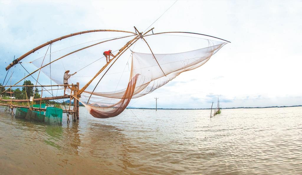 Tháng 10 âm lịch, gió bấc thổi vun vút qua những cánh đồng giáp biên báo hiệu mùa cá ra sông để nuôi sống dân câu lưới trong tháng nước cuối cùng. Tuy nhiên, con nước tháng 10 năm nay khiến dân câu lưới thất vọng bởi sản lượng cá không như mong đợi.