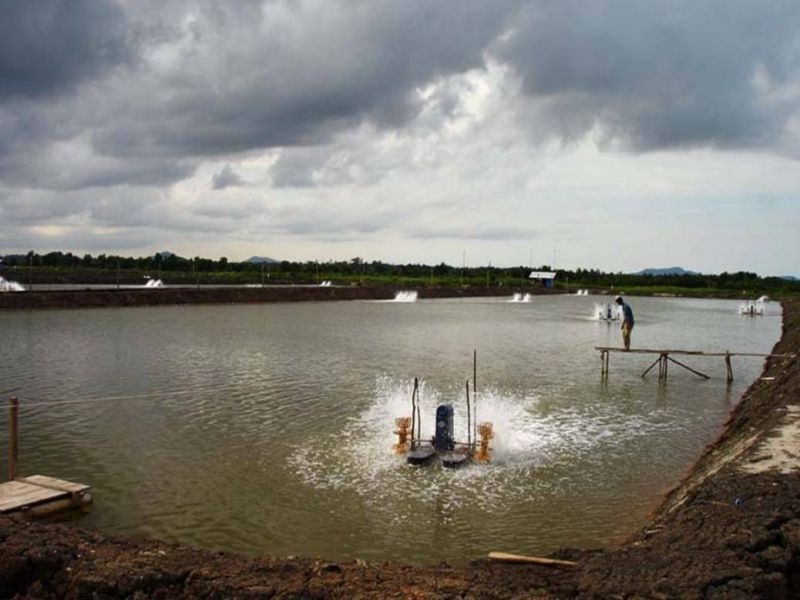 Bước vào mùa mưa bão, cũng như nhiều ngành sản xuất nông nghiệp khác, thủy sản là lĩnh vực rất dễ bị “tổn thương”. Toàn ngành thủy sản đang tập trung kế hoạch ứng phó mưa, bão.