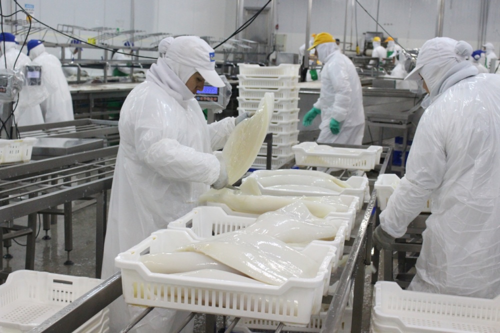 Trong khi XK mực, bạch tuộc sang các thị trường NK chính trong 9 tháng đầu năm 2018 tăng trưởng ở mức thấp thì XK sang Nga có tốc độ tăng trưởng ấn tượng gần 200% so với cùng kỳ. Với tốc độ tăng trưởng này, Nga đang là điểm sáng trong bức tranh XK mực, bạch tuộc của Việt Nam.