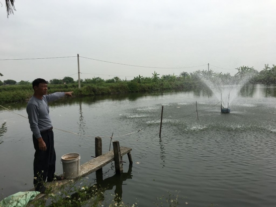 23 hộ dân với hàng chục mẫu ao, đầm nuôi trồng thủy sản đã được trưởng, phó thôn Mỹ Lộc, xã Tiên Thắng, huyện Tiên Lãng đứng ra kí hợp đồng thuê thời hạn 10 năm và bàn giao mặt bằng năm 2004. Việc làm lạ này của cán bộ thôn Mỹ Lộc 10 năm liền không hề bị các cơ quan chức năng huyện Tiên Lãng “tuýt còi” xử lý....