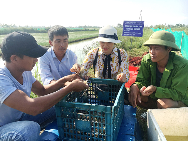 Vừa qua, Trung tâm Khuyến nông - Khuyến ngư tỉnh Quảng Bình đã tổ chức hội nghị tổng kết mô hình nuôi tôm càng xanh trên đất lúa chuyển đổi tại huyện Bố Trạch. Đây là đối tượng thủy sản có giá trị kinh tế cao.