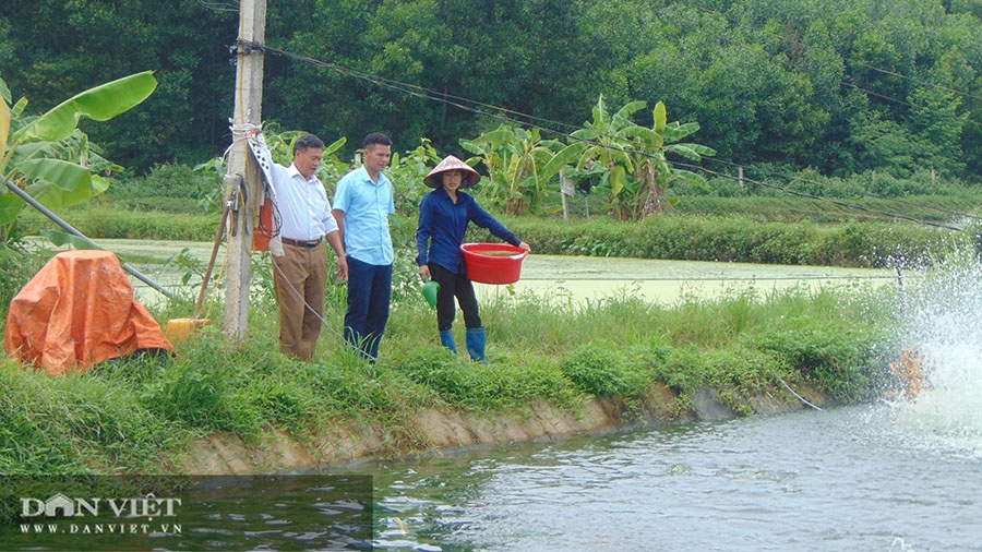 Với diện tích hơn 2ha mặt nước, ông Trần Văn Quang (57 tuổi, xóm La Đao, xã Tân Kim, huyện Phú Bình, tỉnh Thái Nguyên) thả gần 20.000 con cá nước ngọt các loại, thu về hàng trăm triệu mỗi năm.