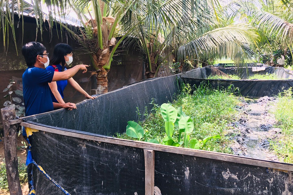 Tận dụng diện tích đất trống quanh nhà, nhiều hộ nông dân ấp Bình Châu (xã Bình Long, Châu Phú, An Giang) phát triển mô hình nuôi lươn trong bể bạt. Mô hình đã và đang mang lại hiệu quả kinh tế cao, giúp nông dân nâng cao thu nhập, cải thiện cuộc sống.