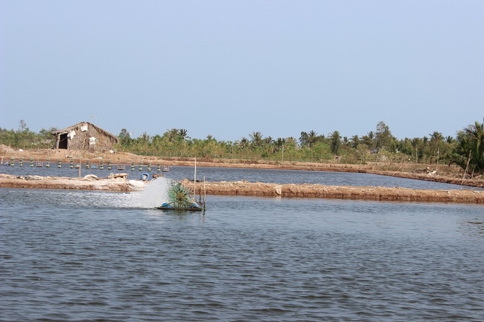 Do ảnh hưởng của dịch Covid-19 nên việc nuôi trồng thủy sản tại tỉnh Quảng Ngãi gặp rất nhiều khó khăn, đặc biệt tại các vùng đang cách ly y tế.