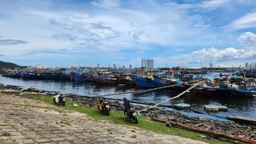 Sản lượng các loại thủy sản khai thác và nuôi trồng tại Đà Nẵng đều tăng, nhưng tình trạng thiếu lao động đi biển vẫn đang là một bài toán khó.
