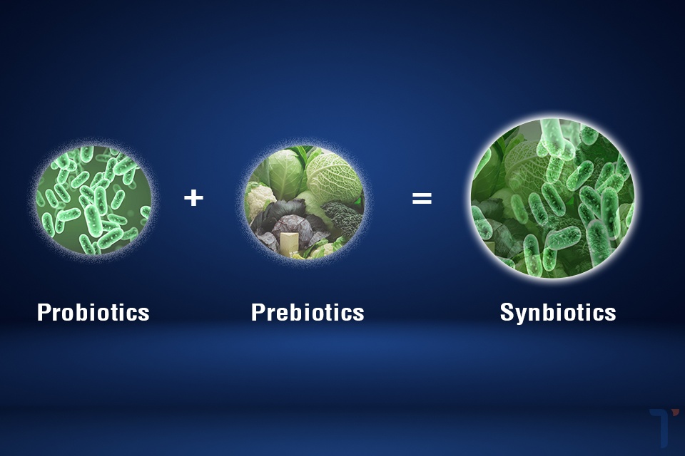 Probiotics và prebiotics được coi là sự thay thế hữu ích và đầy hứa hẹn để giảm sự bùng phát dịch bệnh trên tôm thẻ. Mang lại hiệu quả cao hơn là kết hợp của chúng gọi là Synbiotics.