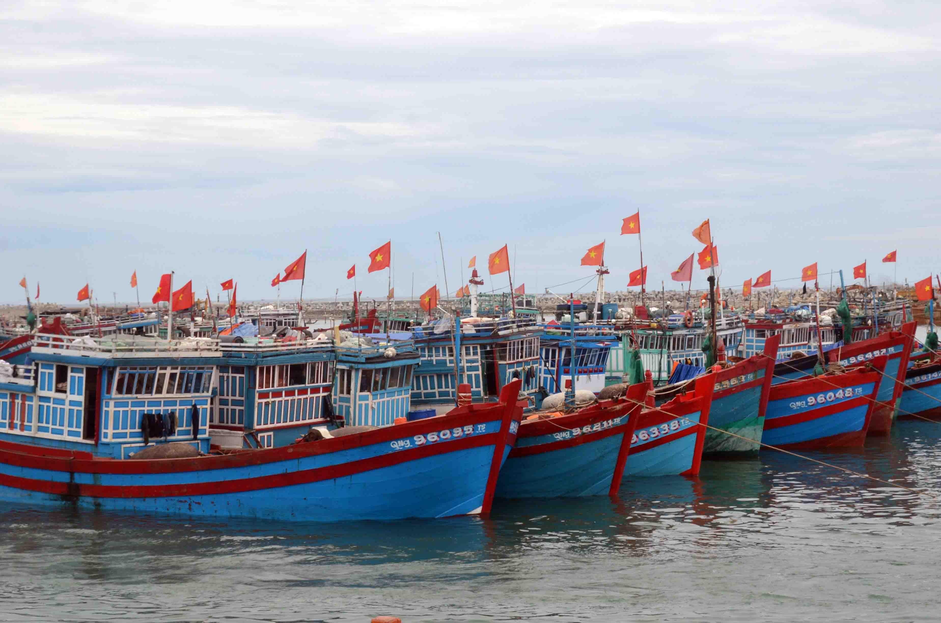 Đã trải qua 4 lần kiểm tra quy trình thực hiện chống khai thác bất hợp pháp của châu Âu, Việt Nam vẫn quyết tâm làm tốt để đưa ngành khai thác, đánh bắt hải sản phát triển bền vững.