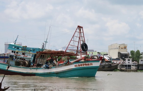 Loại bỏ khai thác IUU, Việt Nam xây dựng nghề cá có trách nhiệm và hội nhập quốc tế
