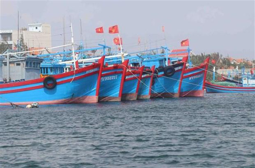 Xóa số đăng ký đối với tàu cá không về địa phương đang được Bình Định áp dụng đối với những tàu cá trong nhóm nguy cơ cao vi phạm khai thác IUU.