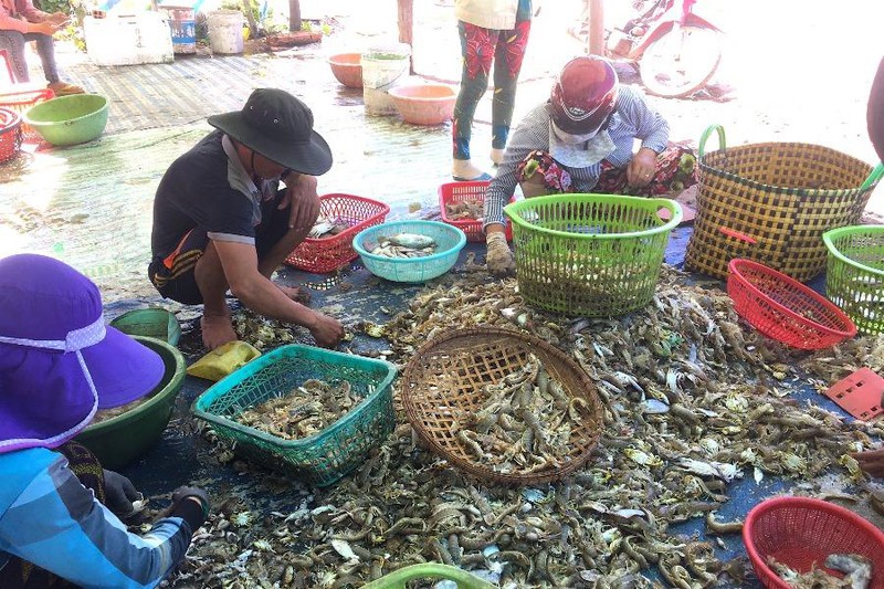 Ngày 1-8, Chủ tịch UBND tỉnh Trà Vinh đã có văn bản chỉ đạo các đơn vị tạo điều kiện cho việc tiêu thụ hàng hóa, nông, thủy sản của nhân dân.