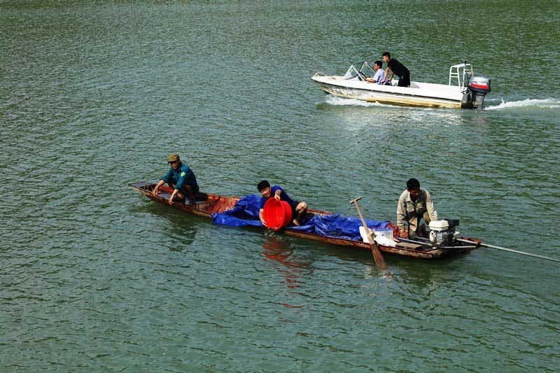 Sáng 8-7, tại cảng nước Nghiêng thuộc khu vực đập thủy điện Sơn La, Sở NN-PTNT tỉnh Sơn La phối hợp UBND huyện Mường La tổ chức lễ thả cá bổ sung cá giống cho thủy vực hồ thủy điện Sơn La.