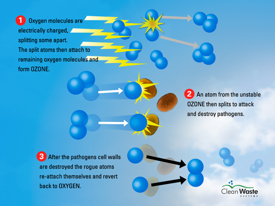 1. Lợi ích của Ozone trong nuôi trồng thủy sản