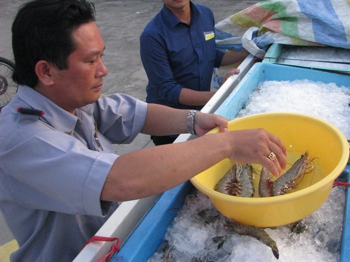 Ngày 19/6, Thanh tra Sở Nông nghiệp và Phát triển nông thôn Bạc Liêu cho biết, vừa bắt quả tang một trường hợp đang vận chuyển 150kg tôm có chứa tạp chất Agar và CMC.