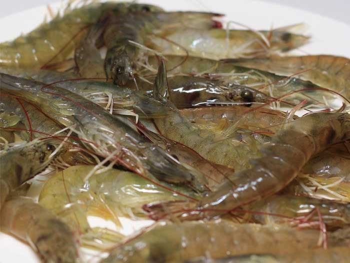 Công ty sản xuất kinh doanh thức ăn thủy sản tại Ấn Độ của Charoen Pophkand Foods (Thái Lan) vừa quyết định hạ giá thức ăn cho tôm để ứng phó với cuộc khủng hoảng virus corona.