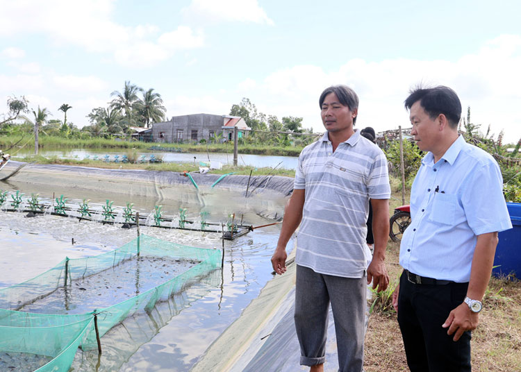 Trà Vinh: Gia tăng giá trị kinh tế, giảm rủi ro qua đa dạng nuôi thủy sản