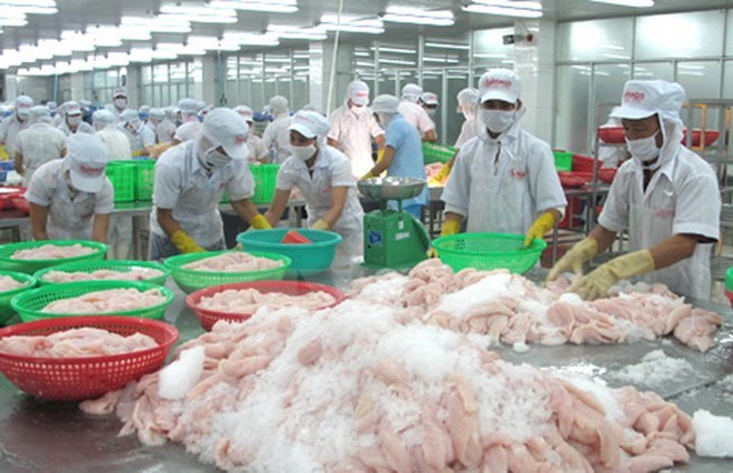 Mỹ hiện là thị trường xuất khẩu cá tra lớn nhất của Việt Nam và công ty Vĩnh Hoàn chiếm khoảng 41% giá trị xuất khẩu vào thị trường này.