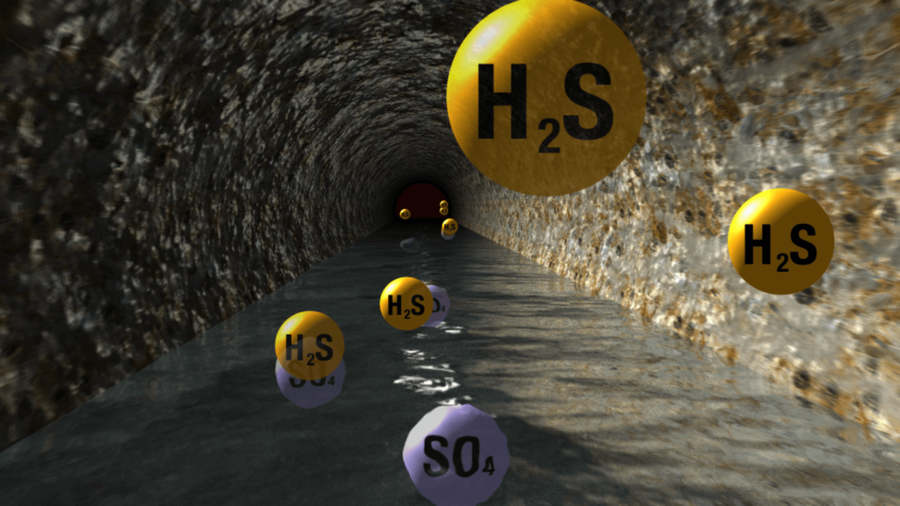 H2S (hydrogen sulfide) is a toxic gas, is formed in anaerobic conditions.