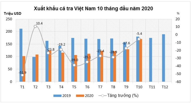 Kể từ tháng 8/2020, giá trị xuất khẩu cá tra đã bắt đầu có chiều hướng đi lên. Trong đó, tháng 10, xuất khẩu sang Trung Quốc - Hồng Kông, Hà Lan và Anh tăng trưởng tốt.