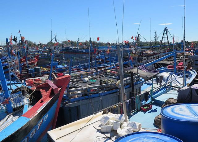 Ngày 7/1, Phó Thủ tướng Chính phủ Trịnh Đình Dũng đã ban hành Quyết định số 31/QĐ-TTg về việc thành lập Hội đồng thẩm định nhiệm vụ lập Quy hoạch hệ thống cảng cá, khu neo đậu cho tàu cá thời kỳ 2021 - 2030, tầm nhìn đến năm 2050.