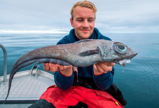 Ngư dân Oscar Lundahl, 19 tuổi suýt nhảy ra khỏi chiếc thuyền đánh cá của mình khi câu được một con cá có hình dạng giống như quái vật trong thần thoại Hy Lạp.