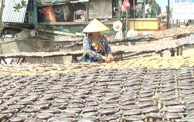 Thời điểm này, làng nghề làm khô cá lóc ở xã Phú Thọ, huyện Tam Nông, tỉnh Đồng Tháp đang nhộn nhịp làm ra sản phẩm khô. Ngoài khô cá lóc, món mắm cá lóc cũng được dân ẩm thực sành điệu khen ngợi.