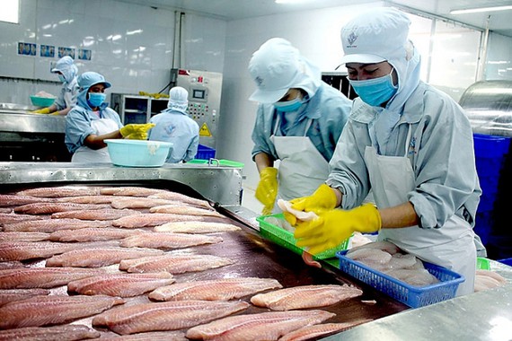 Năm 2018, cá tra Việt Nam tiếp tục phải đối mặt với 3 rào cản lớn tại hai thị trường truyền thống và trọng điểm là Mỹ và EU: Vụ kiện chống bán phá giá, hàng rào kỹ thuật Farmbill và truyền thông bôi xấu cá tra.
