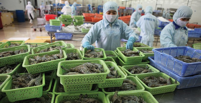 Theo báo cáo của Cục Quản lý chất lượng nông lâm sản và thủy sản (NAFIQAD) cho thấy, số lượng lô hàng thủy sản xuất khẩu vi phạm chất lượng an toàn thực phẩm bị trả về tăng đột biến trong 3 tháng đầu năm 2021. Cụ thể ở thị trường Trung Quốc có đến 15/40 lô vi phạm bị trả về, trong khi cả năm 2020 số lượng lô vi phạm bị trả về là 6/14 lô.