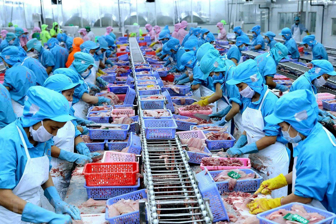Thủy sản Việt Nam thích nghi với chính sách zero Covid’ của Trung Quốc
