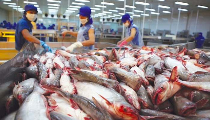 Thống kê tháng 1/2021, xuất khẩu thủy sản của Việt Nam đạt trên 606 triệu USD, tăng 23,4% so với cùng kỳ năm trước, nhưng theo Hiệp hội Chế biến và Xuất khẩu Thuỷ sản Việt Nam (Vasep), điều đặc biệt là xuất khẩu sang các nước khối hiệp định CPTPP tăng mạnh, tới 34%.