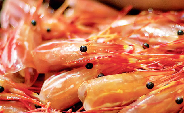 Theo Marcus Coleman, người đứng đầu cơ quan thủy sản Seafish của Anh, doanh số bán lẻ thủy sản có vỏ ở Anh tăng 100 triệu bảng Anh (141 triệu USD) vào năm 2020 do khi người mua sắm ở Anh chi nhiều hơn cho tôm và vẹm để nấu ăn tại nhà trong thời gian chống dịch.
